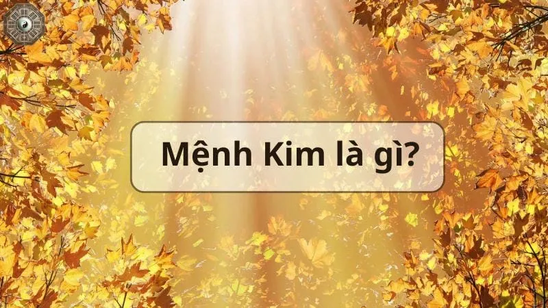 Mệnh Kim là gì - Tìm hiểu chi tiết về người thuộc mệnh Kim 1