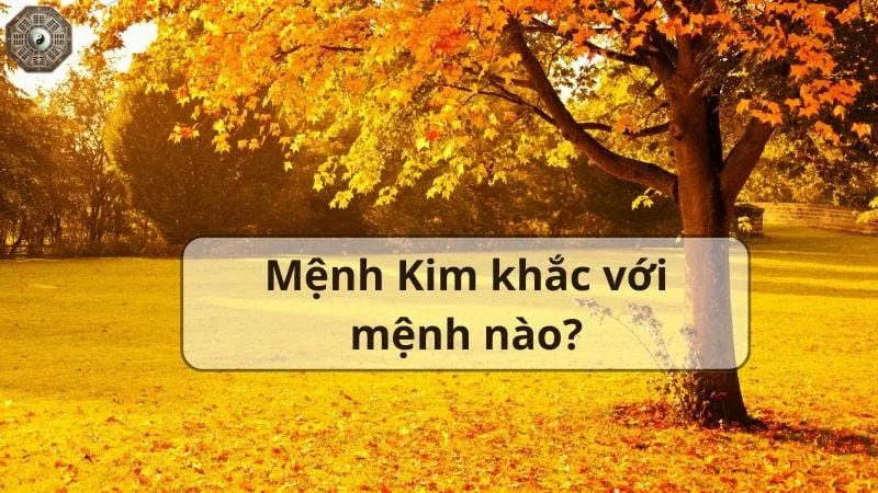 Mệnh Kim là gì - Tìm hiểu chi tiết về người thuộc mệnh Kim 7