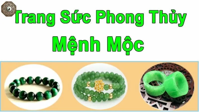 Mệnh Mộc hợp màu gì, kỵ màu gì để gặp may mắn và thành công? 9