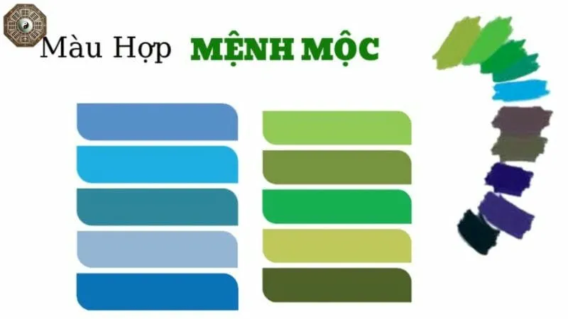 Mệnh Mộc hợp màu gì, kỵ màu gì để gặp may mắn và thành công? 3