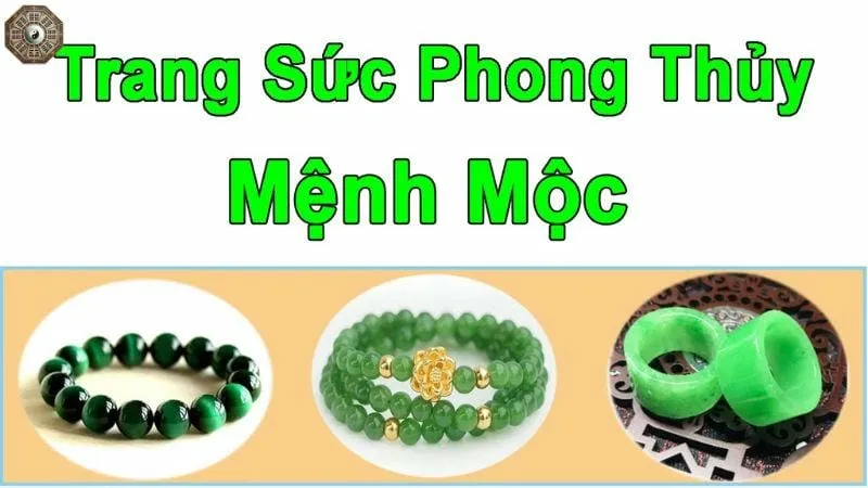 Mệnh Mộc là gì - Tìm hiểu chi tiết về người thuộc mệnh Mộc 9