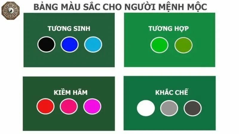 Mệnh Mộc là gì - Tìm hiểu chi tiết về người thuộc mệnh Mộc 7