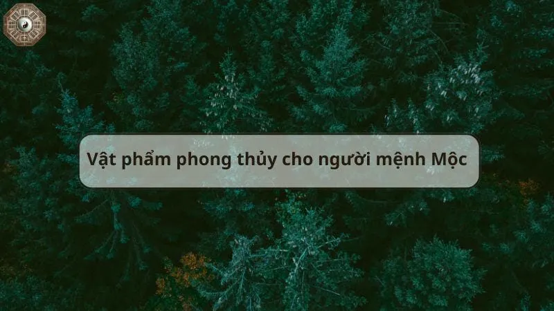 Mệnh Mộc là gì - Tìm hiểu chi tiết về người thuộc mệnh Mộc 8