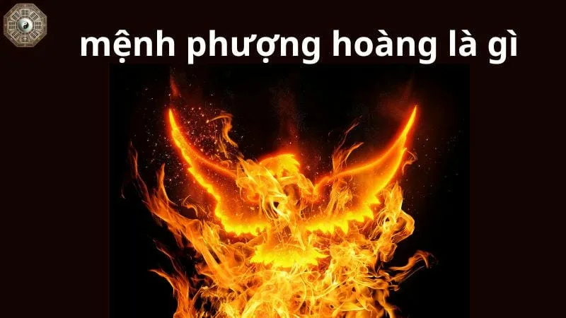 Mệnh Phượng Hoàng là gì? Biểu tượng và ý nghĩa phong thủy 1