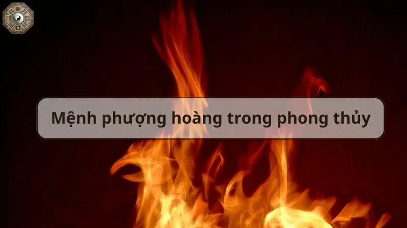 Mệnh Phượng Hoàng là gì? Biểu tượng và ý nghĩa phong thủy 3