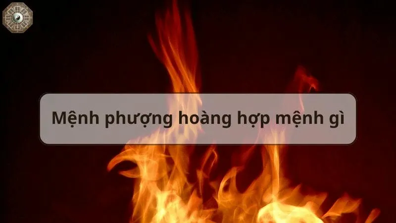 Mệnh Phượng Hoàng là gì? Biểu tượng và ý nghĩa phong thủy 5