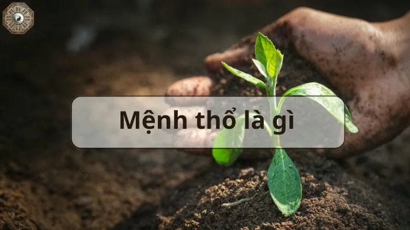 Mệnh Thổ là gì? - Tìm hiểu chi tiết về người mệnh Thổ 1