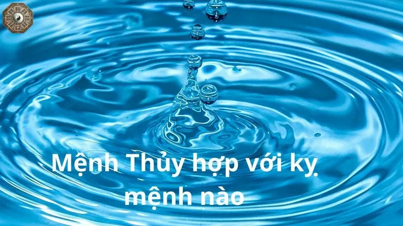 Mệnh Thủy hợp mệnh gì - Tìm hiểu mối quan hệ trong ngũ hành 5