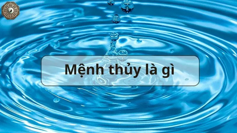 Mệnh Thủy là gì - Tìm hiểu chi tiết về người mệnh Thủy  1