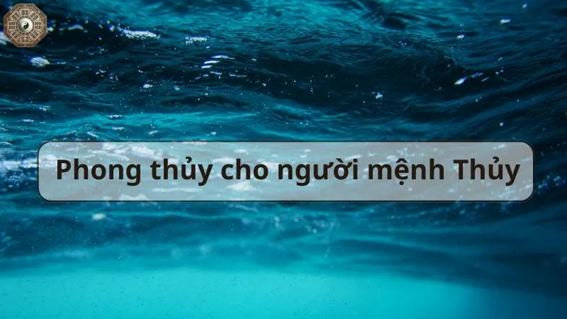 Mệnh Thủy là gì - Tìm hiểu chi tiết về người mệnh Thủy  5