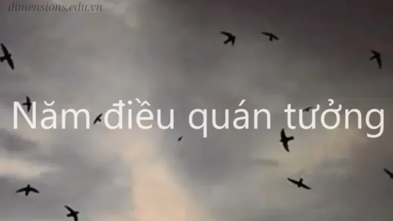 Năm điều quán tưởng trong Phật giáo – Bí quyết sống an lạc 1