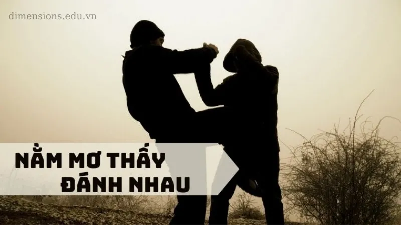 Nằm mơ đánh nhau là điềm báo gì cho tương lai của bạn?