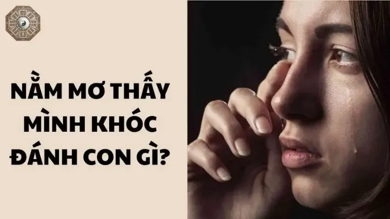 Nằm mơ khóc nức nở điềm báo gì về cuộc sống của bạn? 3