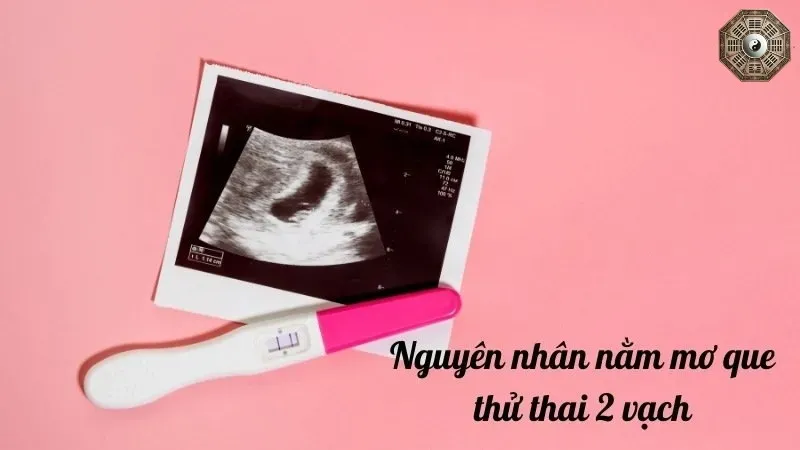 Nằm mơ thấy que thử thai 2 vạch là điềm báo gì về tương lai? 1