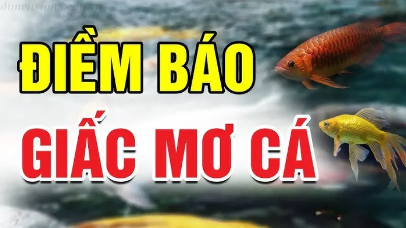 Điềm báo giấc mơ thấy cá