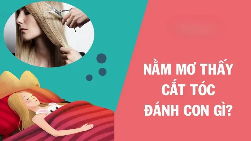 Nằm mơ thấy cắt tóc đánh con gì?