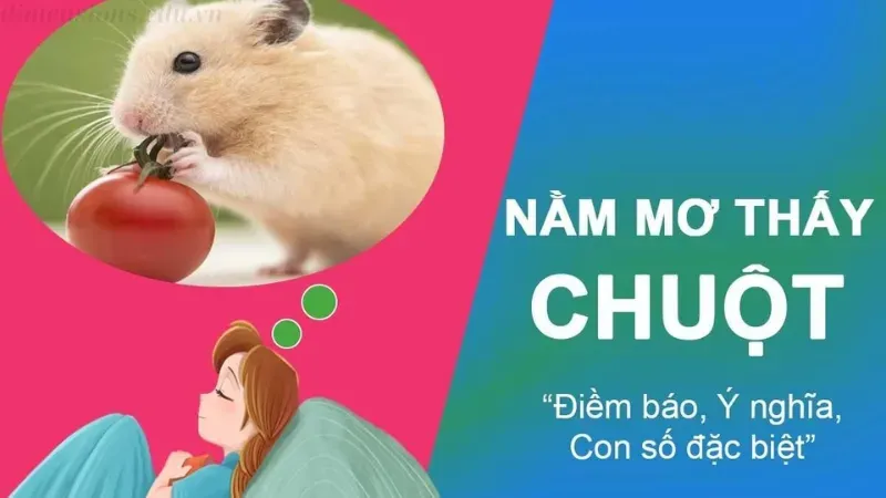 Ý nghĩa của việc nằm mơ thấy chuột