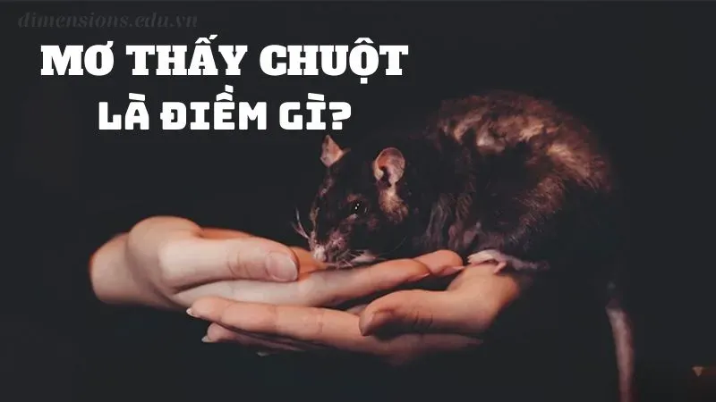 Giải mã nằm mơ thấy chuột 