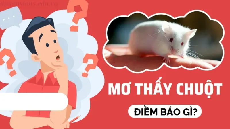 Mơ thấy chuột điềm báo gì?