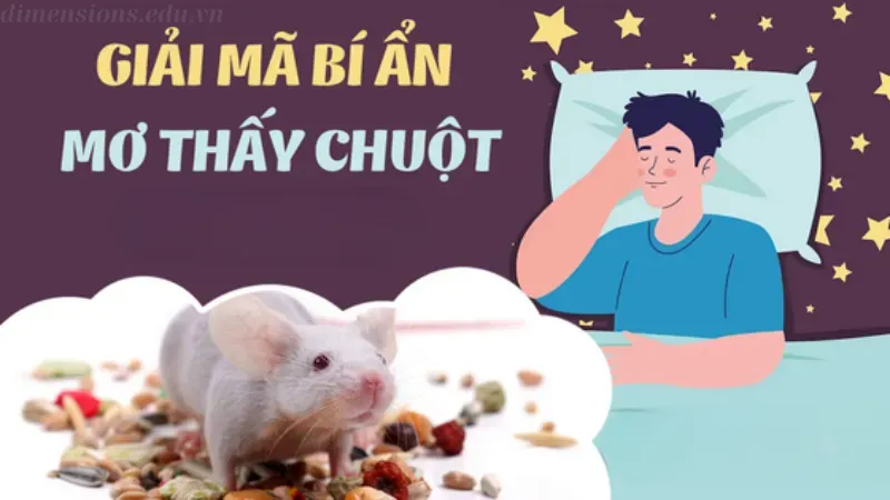 Nằm mơ thấy chuột có điềm tốt hay xấu?