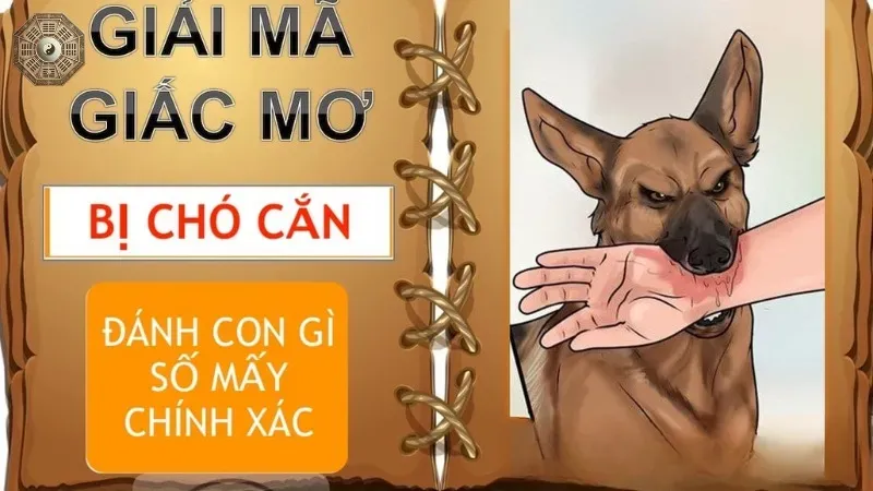 Điềm báo từ giấc mơ thấy chó cắn - Lời nhắn gửi từ tiềm thức của bạn 4