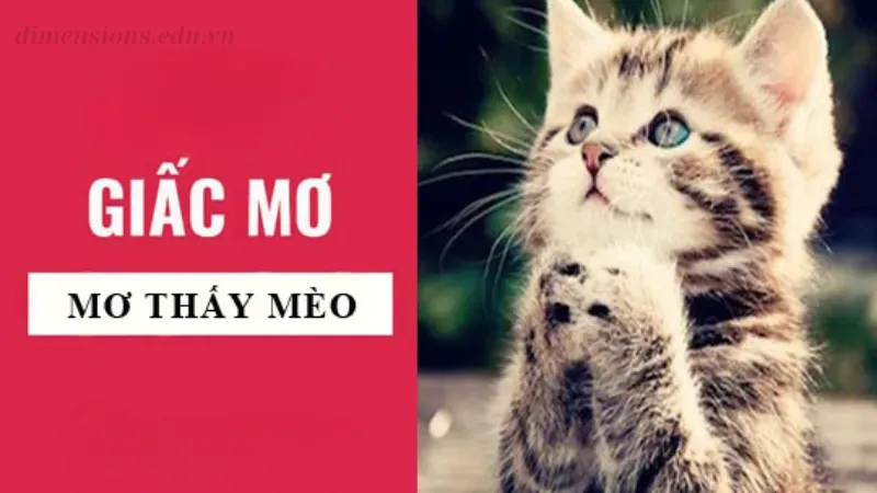 Nằm mơ thấy mèo là điềm lành hay dữ