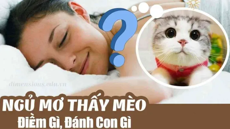 Nằm mơ thấy mèo liên quan đến con số may mắn