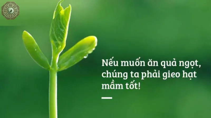 Nghiệp và nhân quả - Sự kết nối giữa hành động và kết quả 8