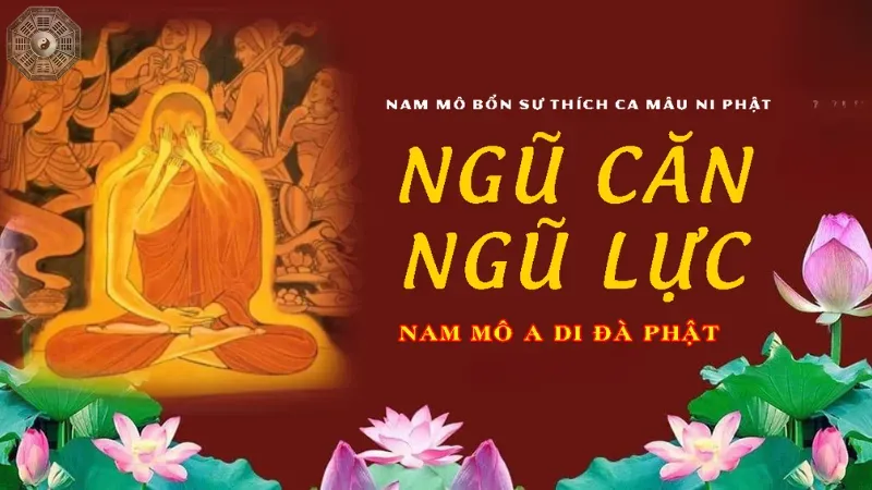 Ngũ căn là gì? Tầm quan trọng trong hành trình tu tập 5