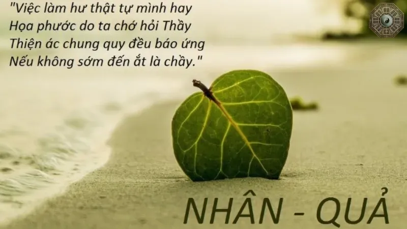 Nhân quả là gì? Bí mật về luật nhân quả trong Phật giáo 1