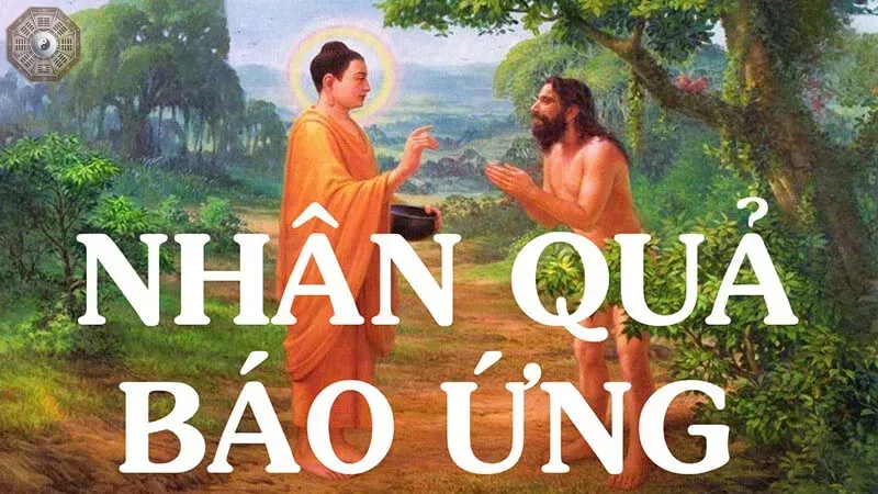 Nhân quả là gì? Bí mật về luật nhân quả trong Phật giáo 3