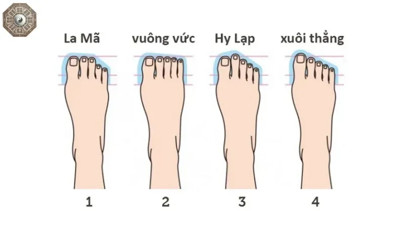 Nhân tướng học bàn chân - Dấu hiệu nào tiết lộ vận mệnh của bạn? 2