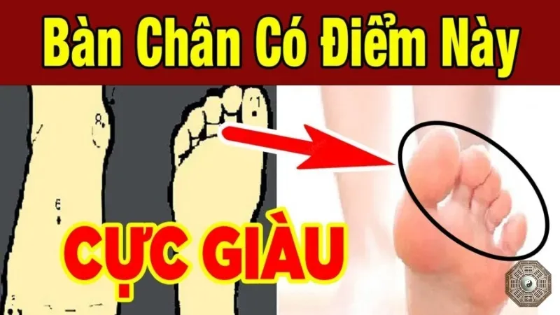 Nhân tướng học bàn chân - Dấu hiệu nào tiết lộ vận mệnh của bạn? 6