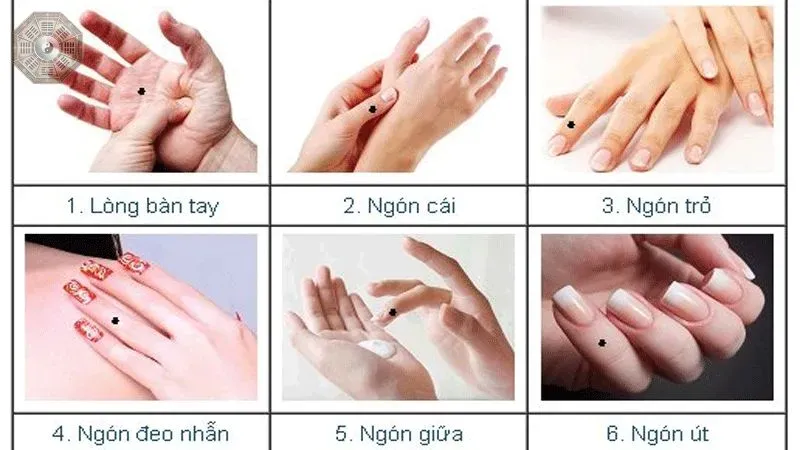 Nhân tướng học bàn tay - Khám phá chi tiết về tính cách và vận mệnh  6