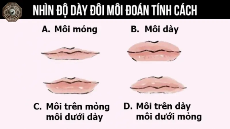 Khám phá sự thật về nhân tướng học môi trong đời sống hằng ngày 5