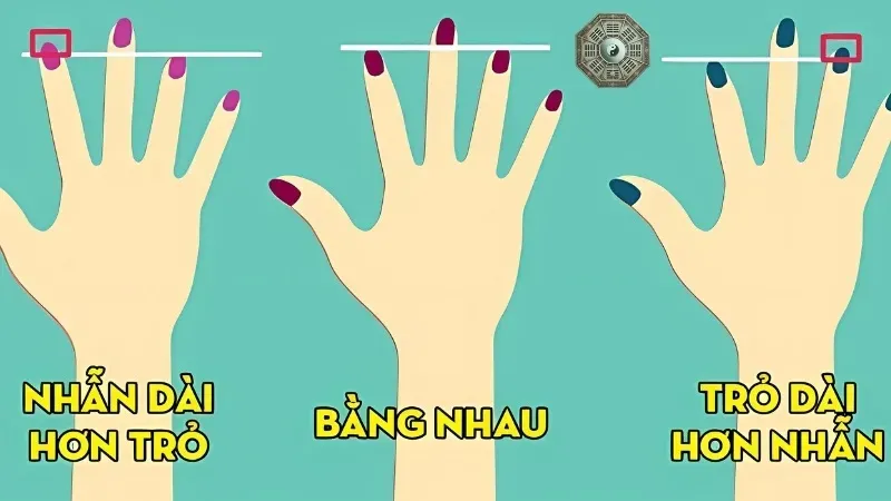 Ngón tay nói lên điều gì về bạn? Bí mật nhân tướng học bạn nên biết 2