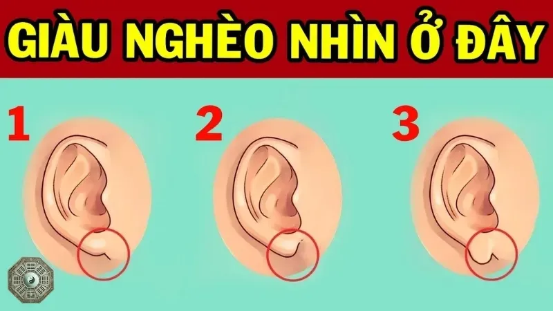 Dáng tai nói lên điều gì về bạn? Khám phá ngay bí mật nhân tướng học 6