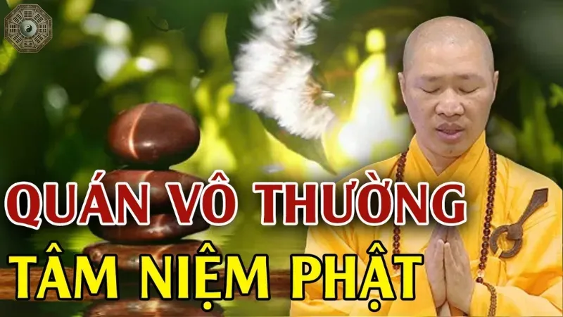 Quán vô thường - Phương pháp giúp tâm an tĩnh và giác ngộ 2