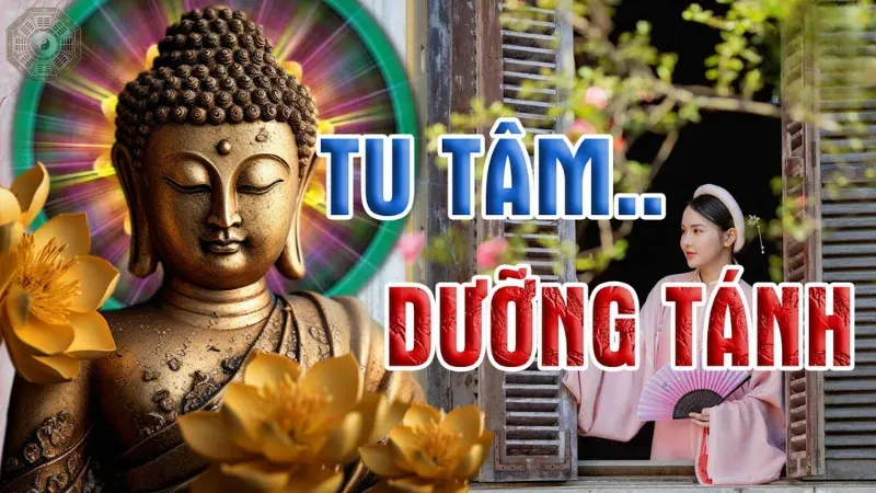 Tham sân si là gì? Cách giảm thiểu trong cuộc sống Phật giáo 5