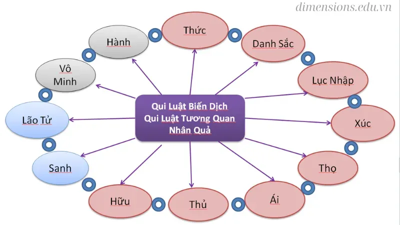 Thập nhị nhân duyên và sự vận hành của nhân quả trong đời 2