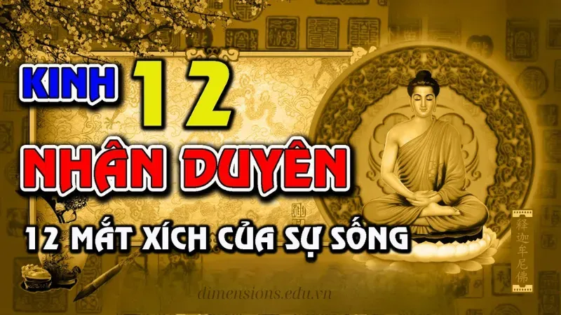 Thập nhị nhân duyên và sự vận hành của nhân quả trong đời 3