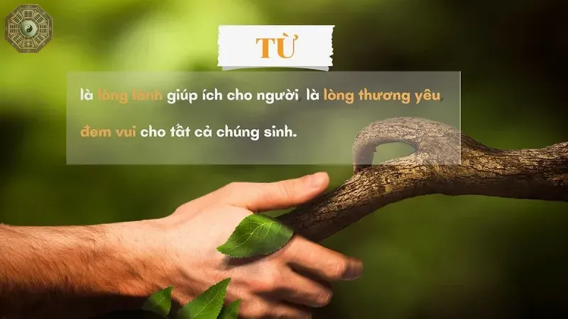 Làm sao để sống với lòng từ bi hỷ xả trong xã hội hiện đại? 2