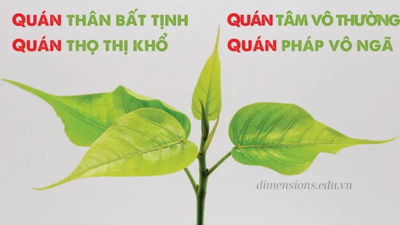 Hướng dẫn thực hành Tứ Niệm Xứ để đạt sự an lạc và tỉnh thức 3