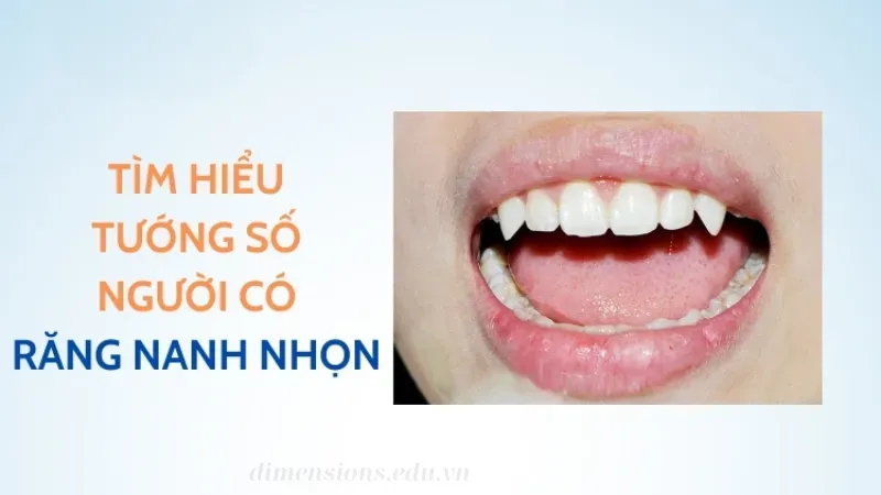 Ý nghĩa của tướng người có 2 răng nanh nhọn