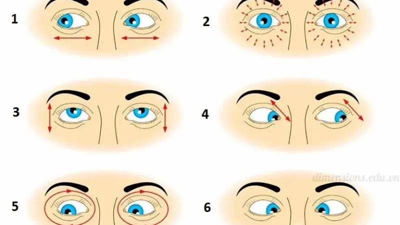 Tướng người hay chớp mắt có ảnh hưởng đến sự nghiệp không? 6