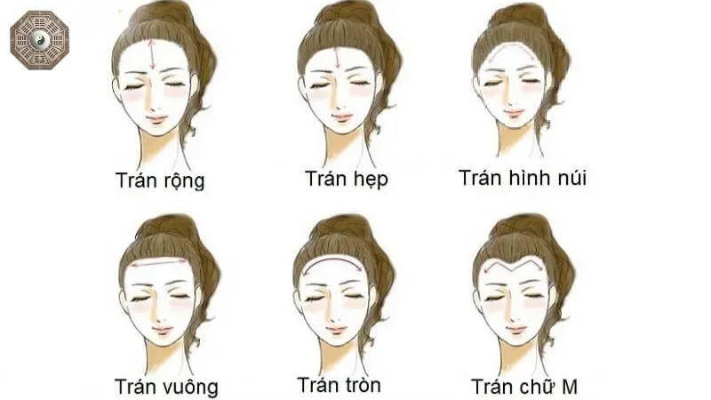 Tướng trán trong nhân tướng học - Dấu hiệu tính cách và vận mệnh 4