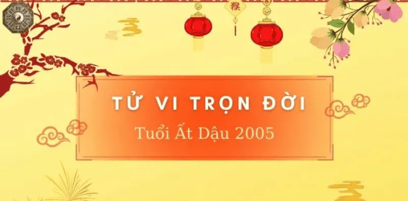 Sinh năm 2005 mệnh gì - Khám phá tử vi Ất Dậu 11