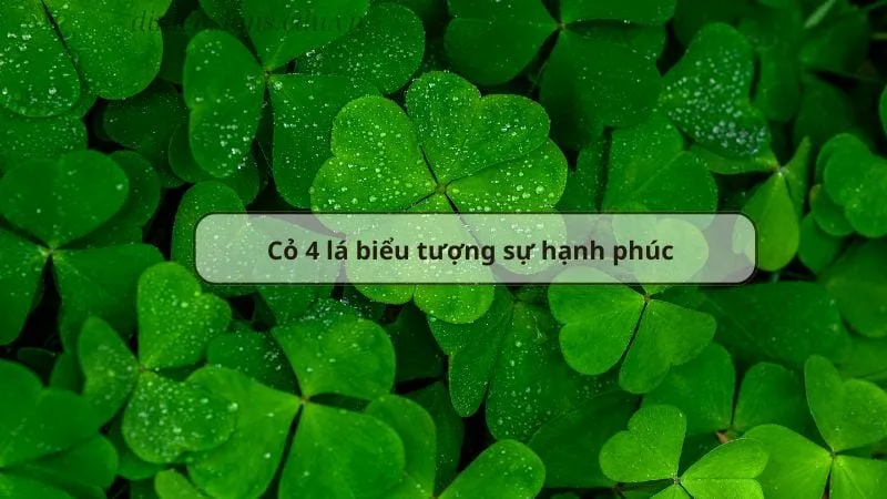 Top 15 vật phẩm phong thủy cầu duyên sớm tìm được nửa kia 4