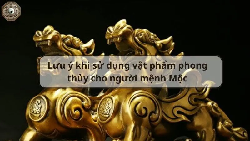 Vật phẩm phong thủy cho người mệnh Mộc đem lại nhiều tài lộc 9