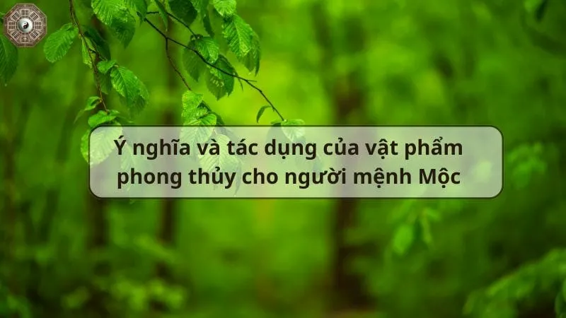 Vật phẩm phong thủy cho người mệnh Mộc đem lại nhiều tài lộc 8